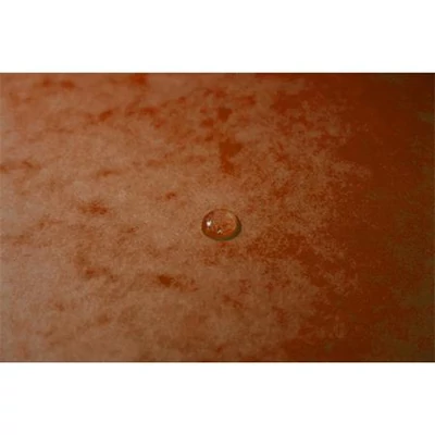 Gumis mappa, prespán, A4, EXACOMPTA, narancs