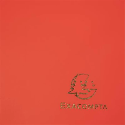 Gumis mappa, PP, A4, EXACOMPTA 
