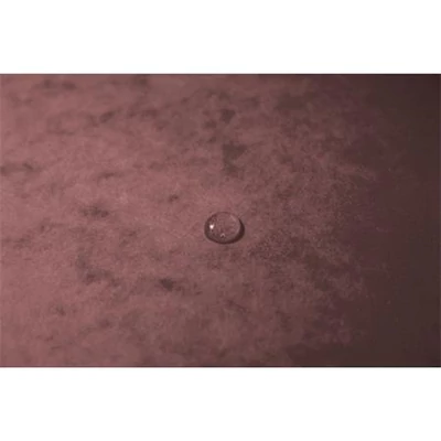 Gumis mappa, prespán, A4, EXACOMPTA 