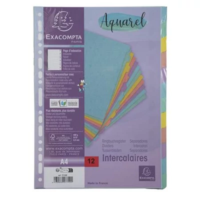 Regiszter, karton, A4, 12 részes, EXACOMPTA 