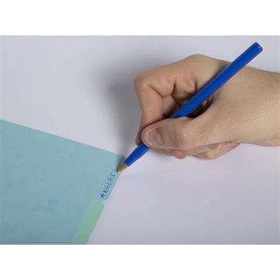 Regiszter, karton, A4, 12 részes, EXACOMPTA 
