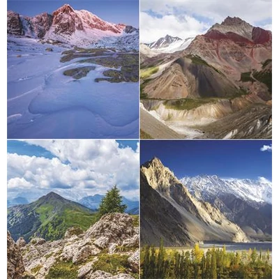 Naptár, fali, TOPTIMER 