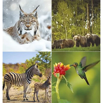 Naptár, fali, TOPTIMER 