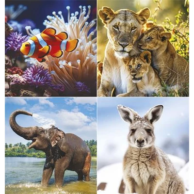 Naptár, fali, TOPTIMER 