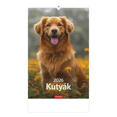 Naptár, fali, TOPTIMER 