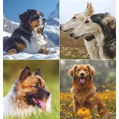 Naptár, fali, TOPTIMER 