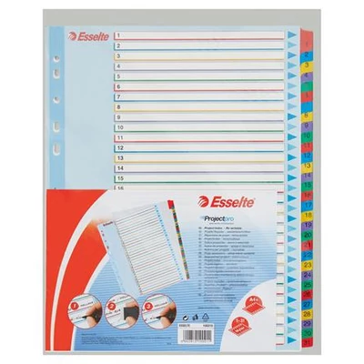 Regiszter, laminált karton, A4 Maxi, 1-31, újraírható, ESSELTE