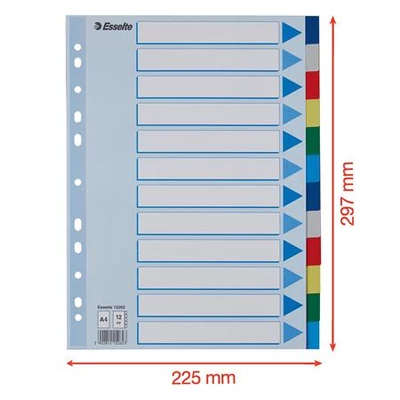 Regiszter, műanyag, A4, 12 részes, ESSELTE