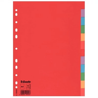 Regiszter, karton, A4, 12 részes, ESSELTE 
