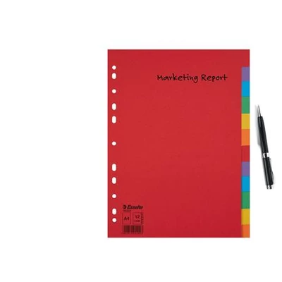 Regiszter, karton, A4, 12 részes, ESSELTE 