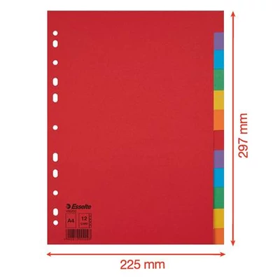 Regiszter, karton, A4, 12 részes, ESSELTE 