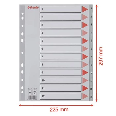 Regiszter, műanyag, A4, 1-12, ESSELTE, szürke