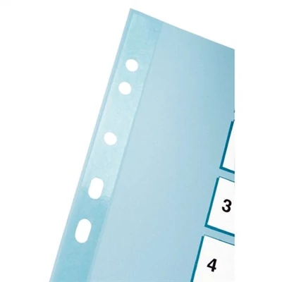 Regiszter, karton, A4, 1-10, ESSELTE 