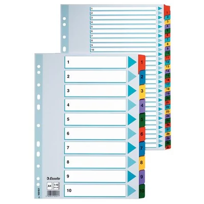 Regiszter, karton, A4, 1-10, ESSELTE 