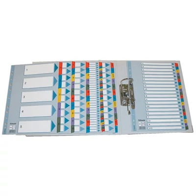 Regiszter, karton, A4, 1-10, ESSELTE 