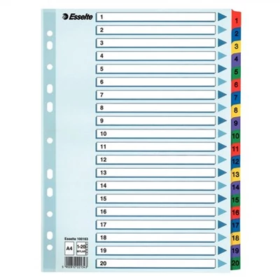 Regiszter, karton, A4, 1-20, ESSELTE 