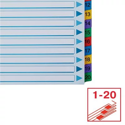 Regiszter, karton, A4, 1-20, ESSELTE 