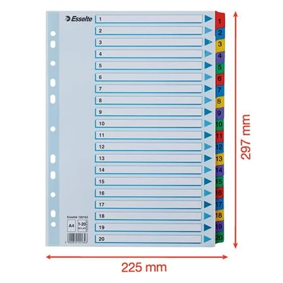 Regiszter, karton, A4, 1-20, ESSELTE 