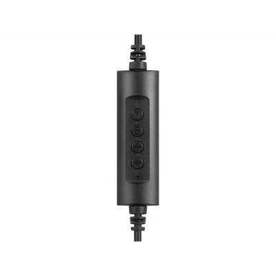 SANDBERG Headset mikrofonnal, USB-C Office Headset