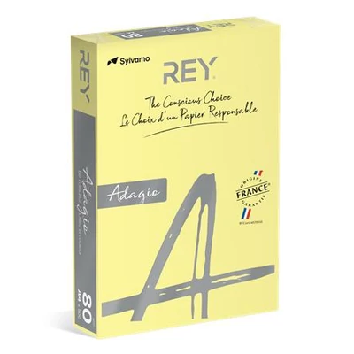 Másolópapír, színes, A4, 80 g, REY 