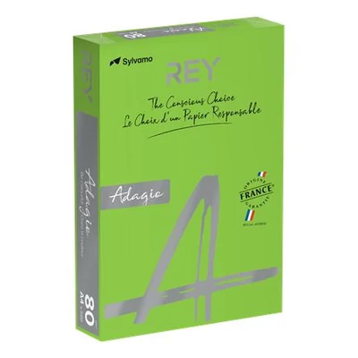 Másolópapír, színes, A4, 80 g, REY 