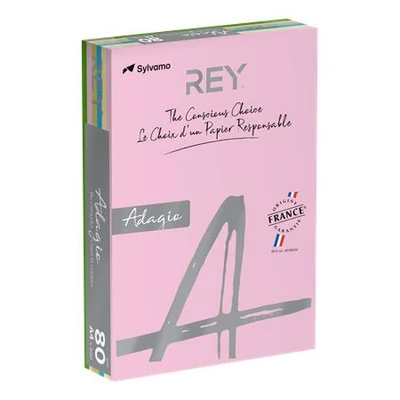 Másolópapír, színes, A4, 80 g, 5x100 lap, REY 