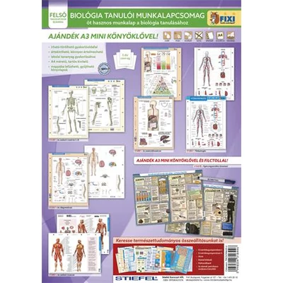 Tanulói munkalap csomag, 5 munkalap, 1 alátét, filc, STIEFEL 